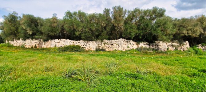 Camins de Ca’s Concos (Son Negre i Es Rossells)