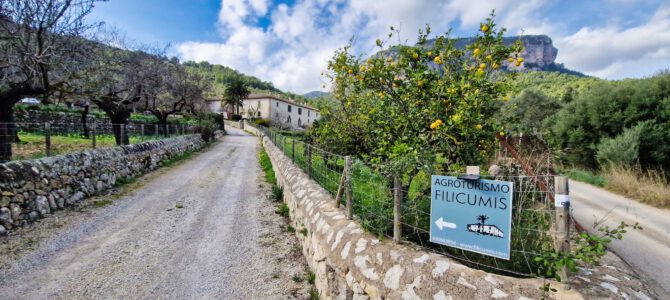 Yacimiento Es Castellot, Son Ordines, Camí des Pinetons, Tossals Verds