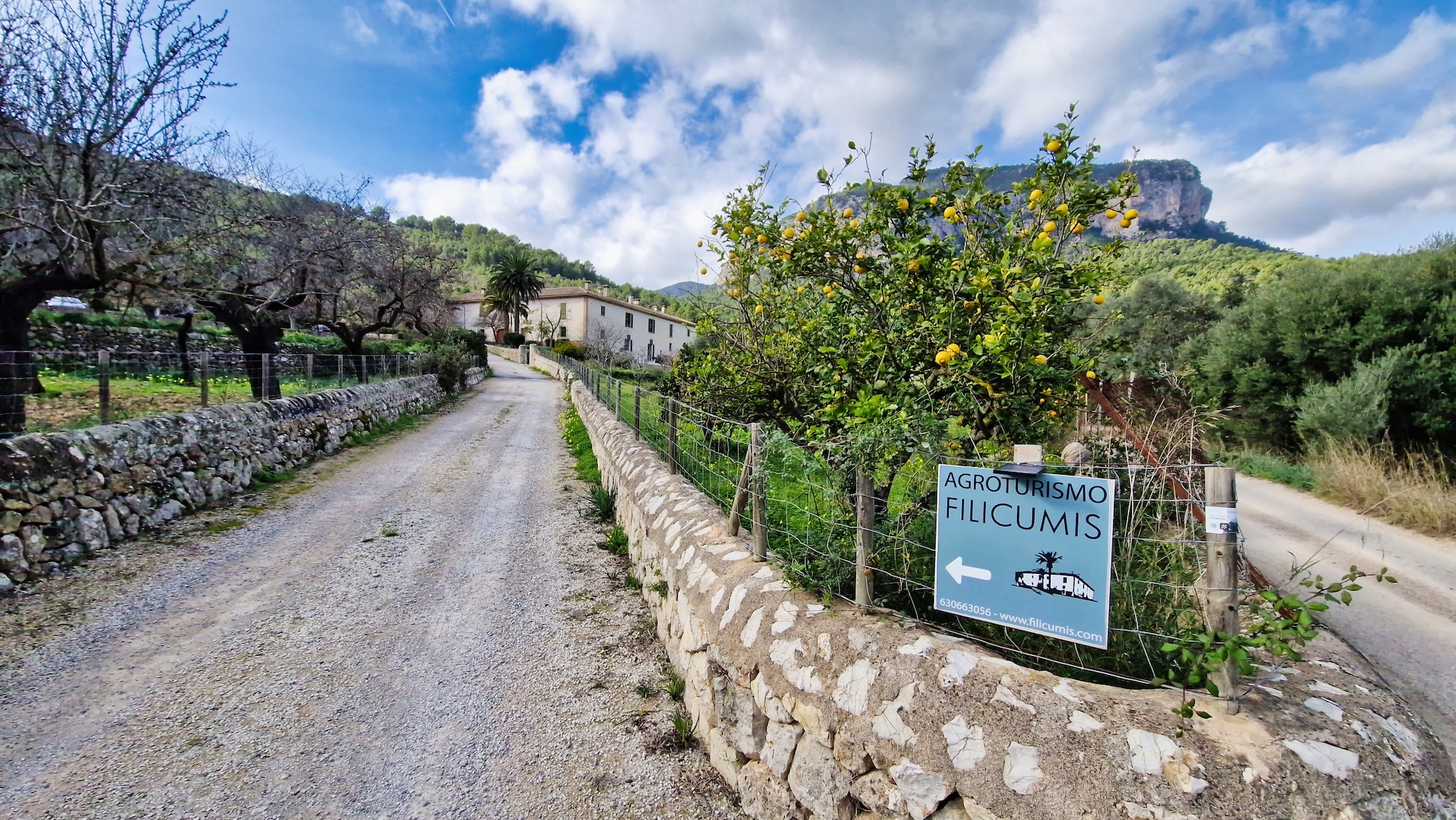 Yacimiento Es Castellot, Son Ordines, Camí des Pinetons, Tossals Verds