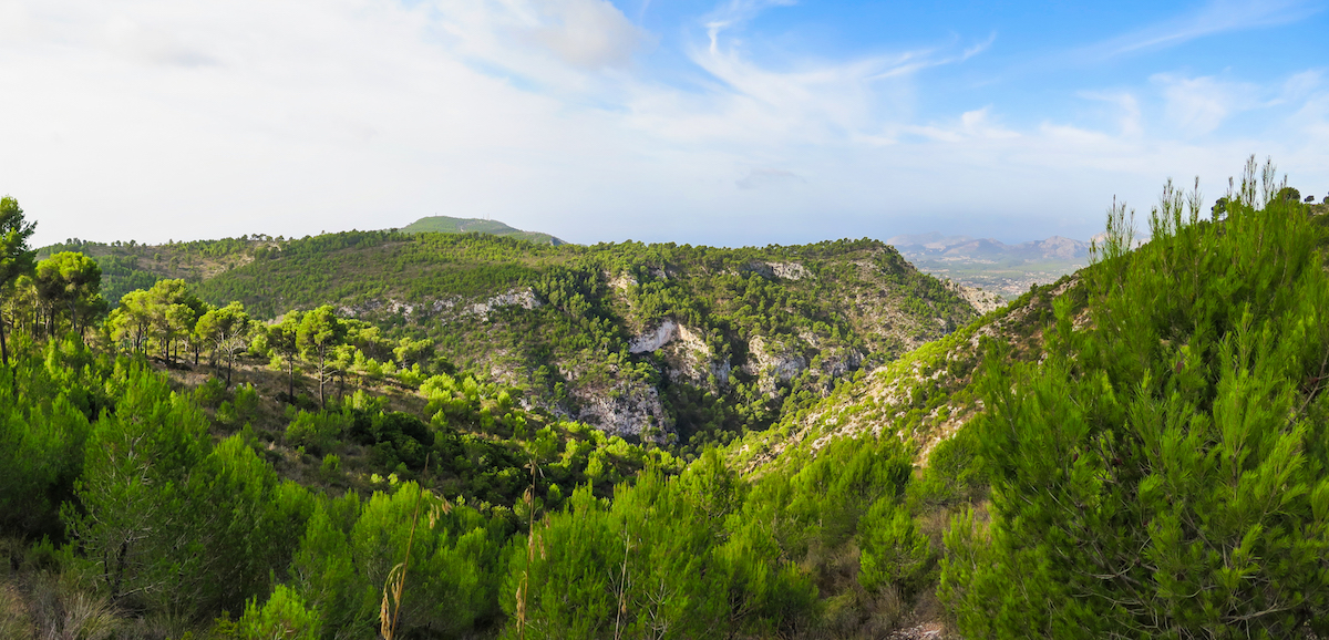 Volta al Puig de'n Bou y Mirador de n'Alzamora desde Na Burguesa