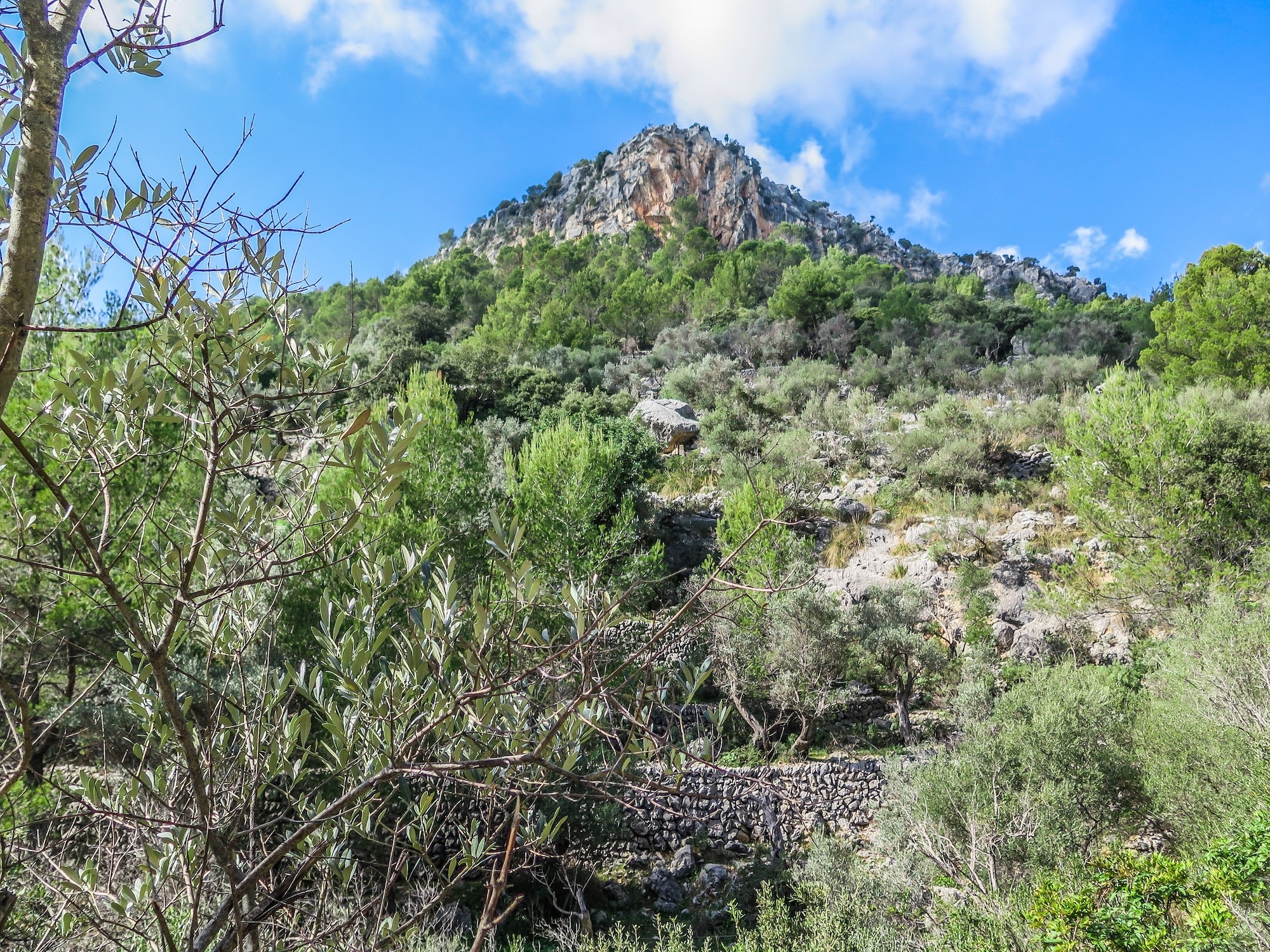 Talaia de Cal Reis por el Pas de s'Escaleta