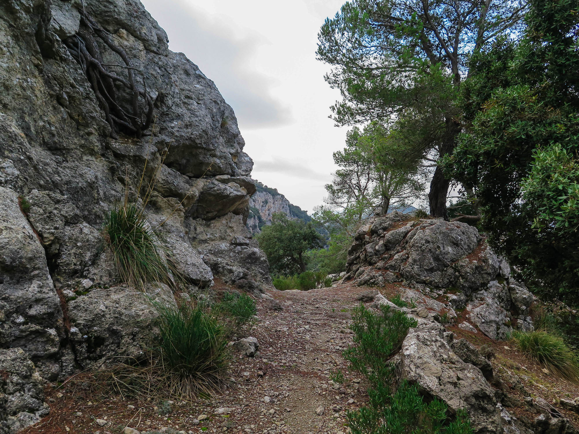 Pas de sa Creu per Son Moragues y Camí de ses Fontanelles