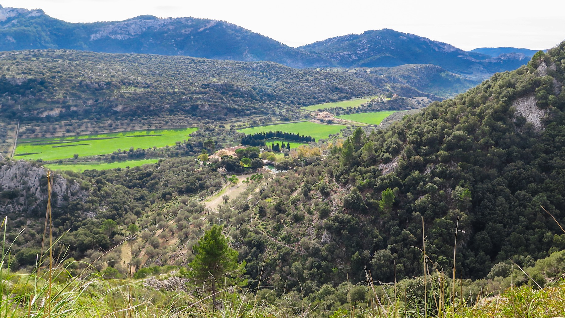 Vall de Cúber por Solleric y Coma-sema