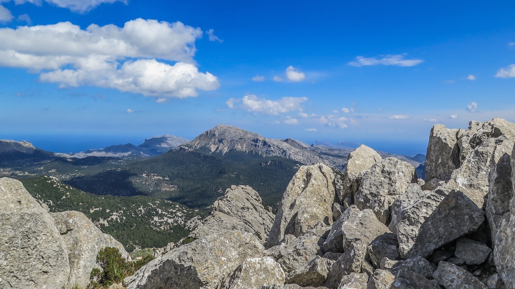 Puig de Alí pel Comellar dels Horts y Comellar de s'Homo