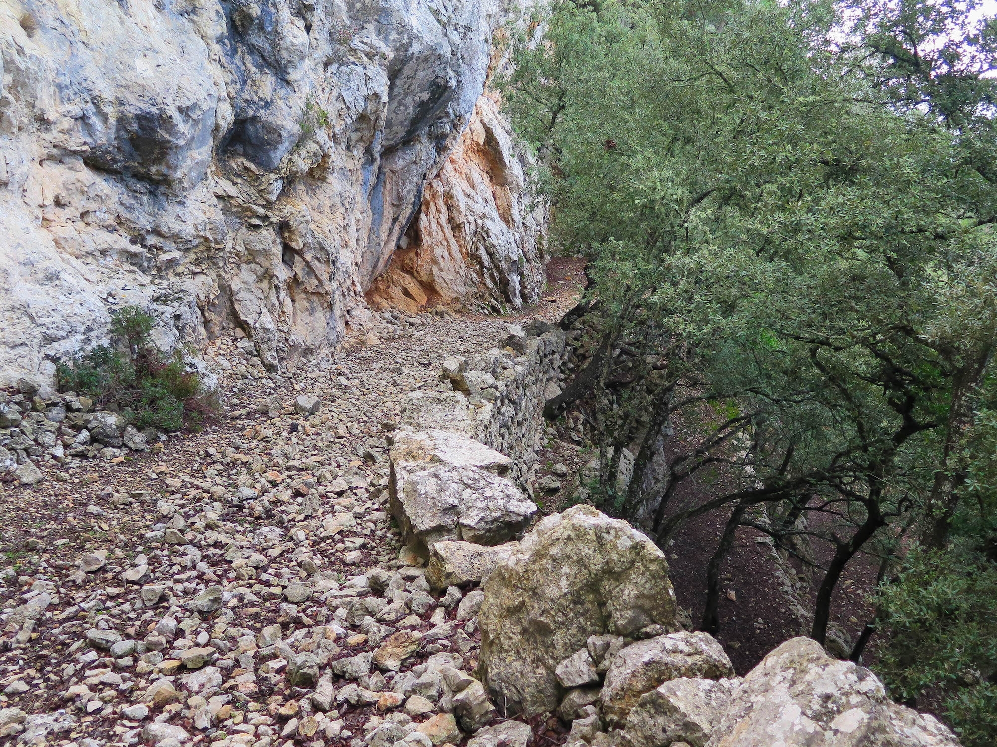 Pas de Son Noguera y Pas de sa Granja