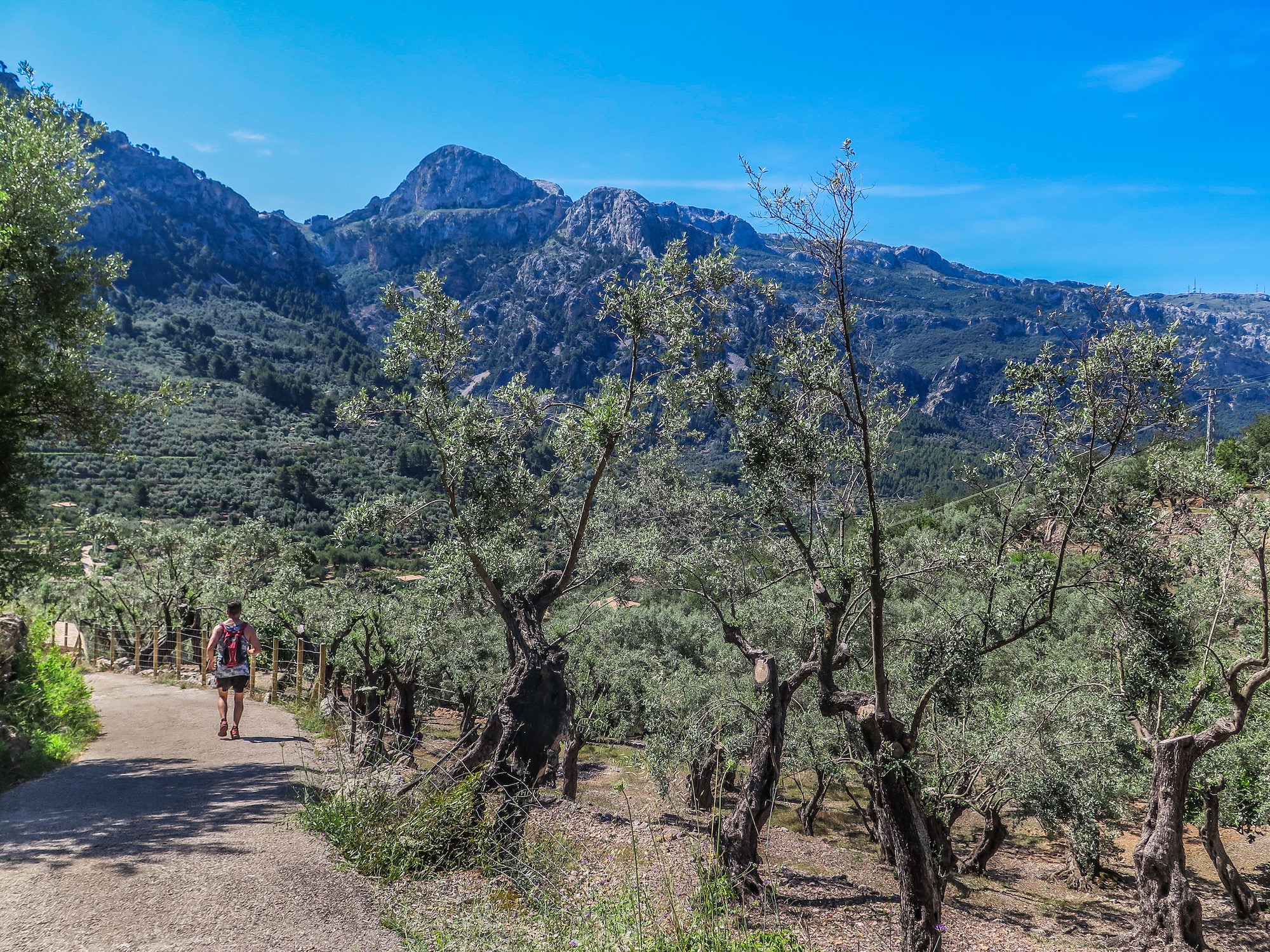 Camins de Sóller : Sa Capelleta, Costa de'n Nico, Fornalutx, Binibassi