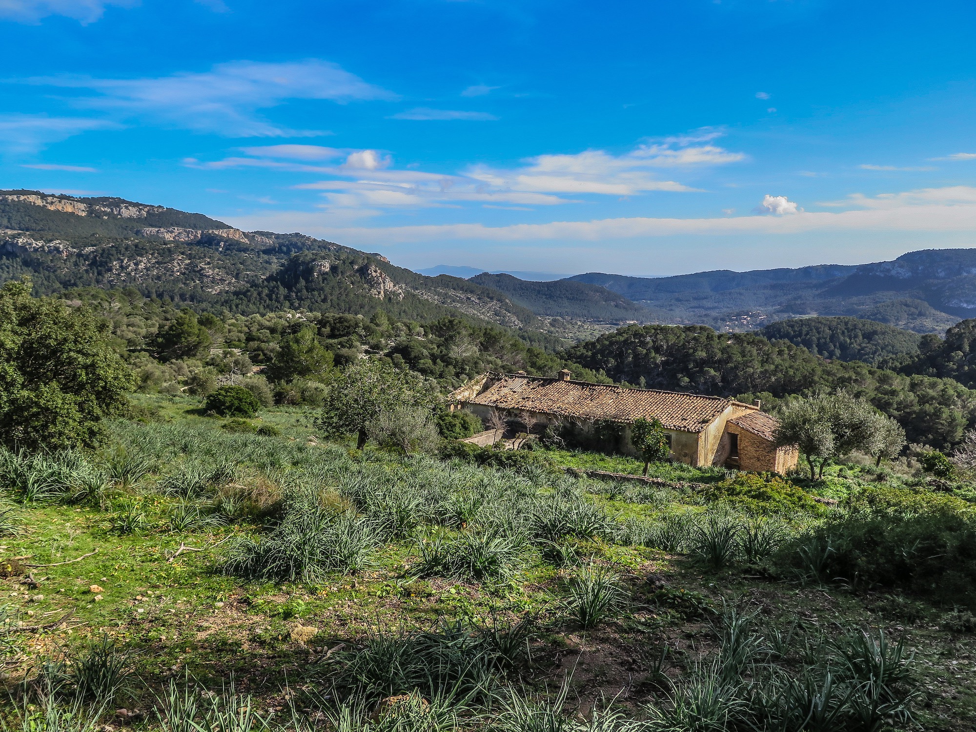 Vuelta al Puig Galatzó por Camí Vell d'Estellencs y Comellar de ses Someres